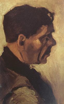 Vincent Van Gogh Head of a Peasant (nn04) oil painting image